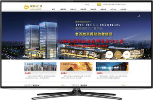 金山網(wǎng)站建設 從制作到設計的全方位指南